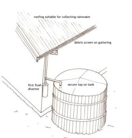 Roofing suitable for collecting rainwater, a debris screen on guttering, a first flush diverter, and a secure top on the tank are all elements of a typical rainwater system set up to minimise contamination.
