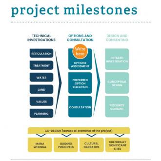 Project Milestones Infographic