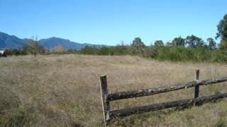 1167 Kopuriki Road, Murupara