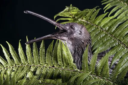 ©Neil Robert Hutton - artist Liz Grant has done an amazing job bringing these kiwi scupltures to life