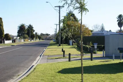 Whakatāne District Council arborists joined forces with Beach Street residents recently to plant 15 Kōwhai trees on their berms.