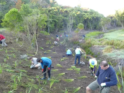 Members of the Restoration Group replanting in Waiewe Reserve.