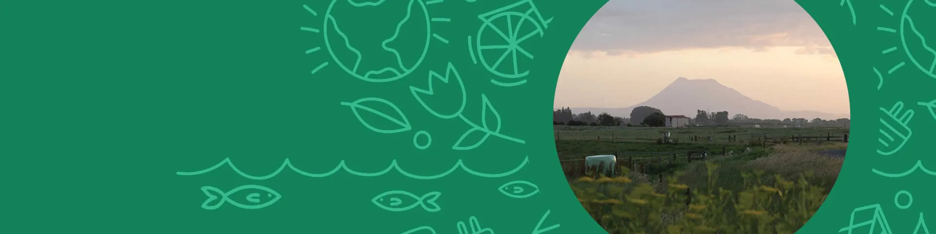Climate change fund banner