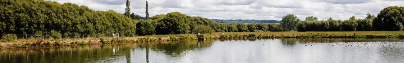Murupara wastewater treatment pond
