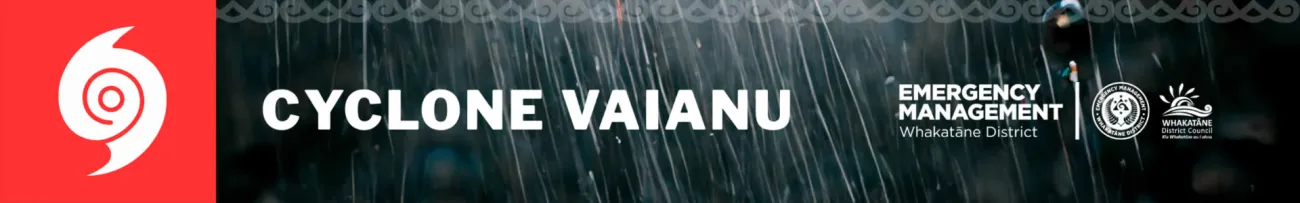 Cyclone Vaianu -  icon and logos