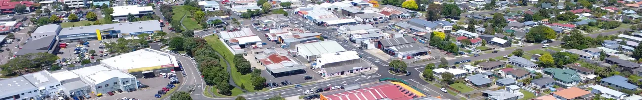 Aerial View of McAlister Street Area