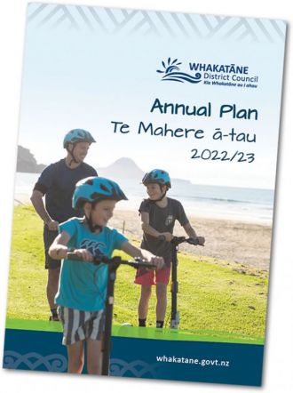 Annual Plan Cover